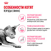 Royal Canin Sphynx Kitten Корм сухой сбалансированный для котят породы Сфинкс до 12 месяцев, 0,4 кг